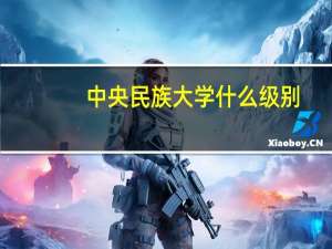 中央民族大学什么级别
