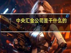 中央汇金公司是干什么的
