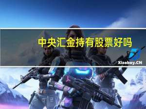 中央汇金持有股票好吗