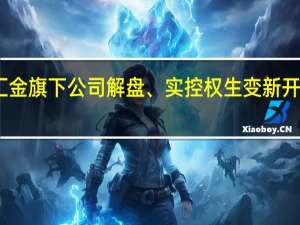 中央汇金旗下公司解盘、实控权生变 新开源复牌涨停
