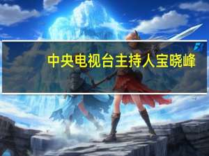 中央电视台主持人宝晓峰（中央电视台主持人朱丹）