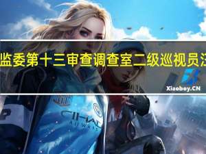 中央纪委国家监委第十三审查调查室二级巡视员汪幼勇接受审查调查