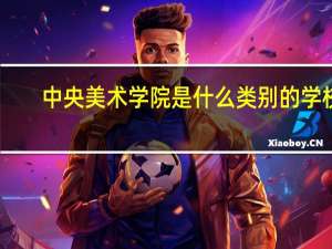 中央美术学院是什么类别的学校
