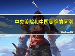 中央美院和中国美院的区别