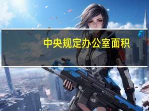 中央规定办公室面积