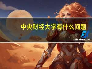 中央财经大学有什么问题