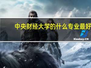 中央财经大学的什么专业最好