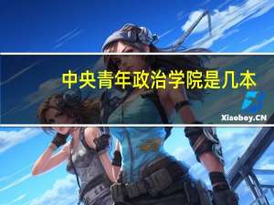 中央青年政治学院是几本