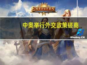 中奥举行外交政策磋商