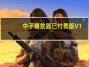 中子播放器已付费版 V1.98.3 PC免费版（中子播放器已付费版 V1.98.3 PC免费版功能简介）