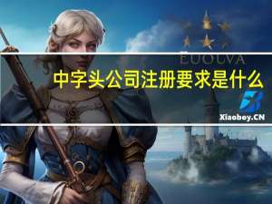 中字头公司注册要求是什么