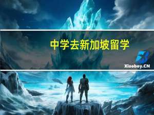 中学去新加坡留学：费用