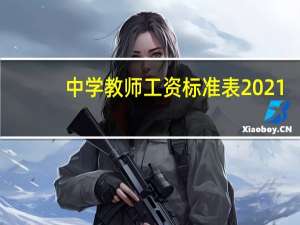中学教师工资标准表2021（中学教师工作总结）