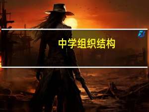 中学组织结构
