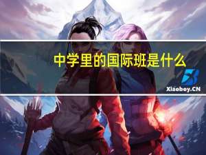 中学里的国际班是什么