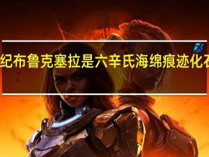 中寒武纪布鲁克塞拉是六辛氏海绵痕迹化石还是伪化石