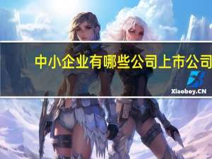 中小企业有哪些公司上市公司（中小企业有哪些公司）