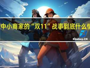 中小商家的“双11”战事 到底什么情况嘞