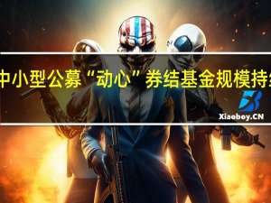 中小型公募“动心” 券结基金规模持续提升