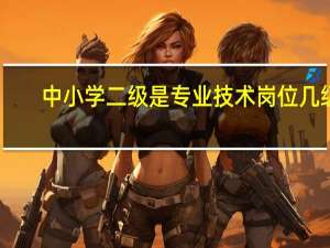 中小学二级是专业技术岗位几级