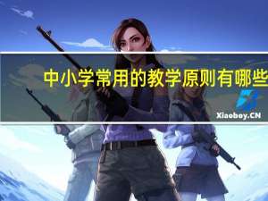 中小学常用的教学原则有哪些