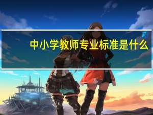 中小学教师专业标准是什么