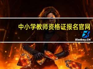 中小学教师资格证报名官网（中小学教师资格证成绩）