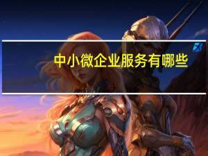中小微企业服务有哪些