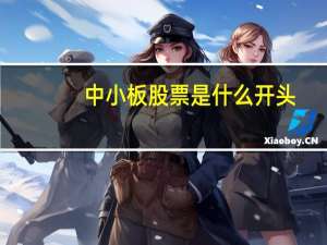 中小板股票是什么开头