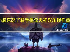 中小股东怒了 联手提议天神娱乐现任董事全下课