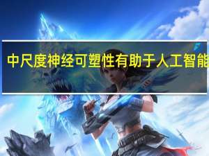 中尺度神经可塑性有助于人工智能学习