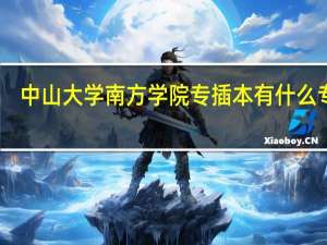 中山大学南方学院专插本有什么专业