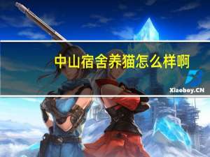 中山宿舍养猫怎么样啊