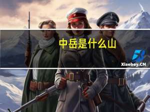 中岳是什么山