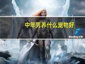 中年男养什么宠物好