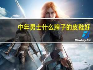 中年男士什么牌子的皮鞋好