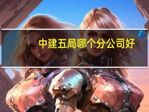 中建五局哪个分公司好