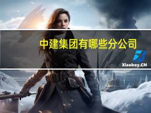 中建集团有哪些分公司