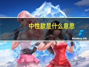 中性款是什么意思