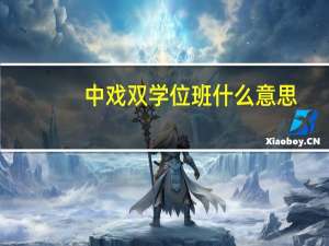 中戏双学位班什么意思