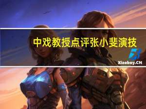 中戏教授点评张小斐演技：演绎到位 角色可圈可点