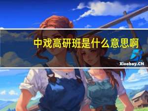 中戏高研班是什么意思啊