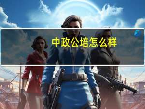 中政公培怎么样