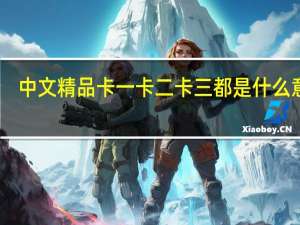 中文精品卡一卡二卡三都是什么意思