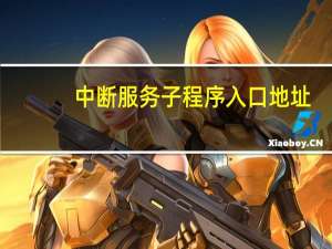 中断服务子程序入口地址