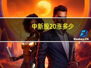 中新股 涨多少