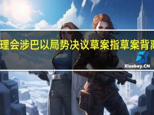 中方否决安理会涉巴以局势决议草案 指草案背离联合国决议精神