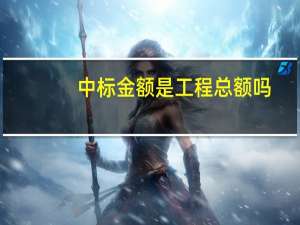 中标金额是工程总额吗