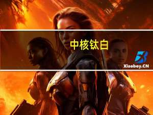 中核钛白：全面上调公司各型号钛白粉销售价格