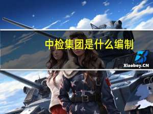 中检集团是什么编制